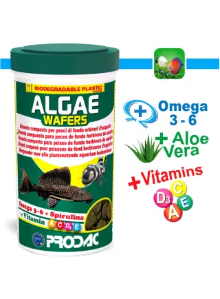 Prodac Algae Wafer/Algae wafer mini Alimento per Pesci Erbivori