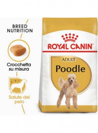 Barboncino POODLE Adult Royal Canin