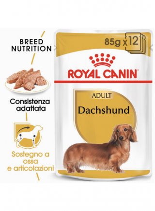 Bassotto DACHSHUND umido Royal Canin 12x85 gr
