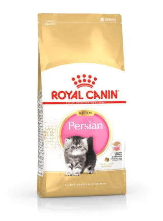 Kitten Persian Royal canin