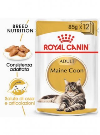 Maine Coon buste Royal Canin 12x85 gr