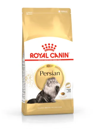 Persian Royal Canin