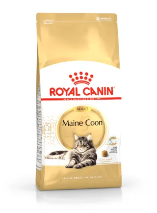 Maine Coon Royal Canin