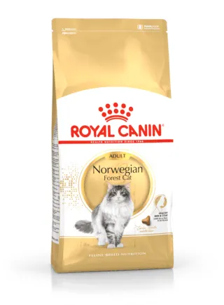 Norvegese delle foreste NORWEGIAN FOREST CAT Royal canin