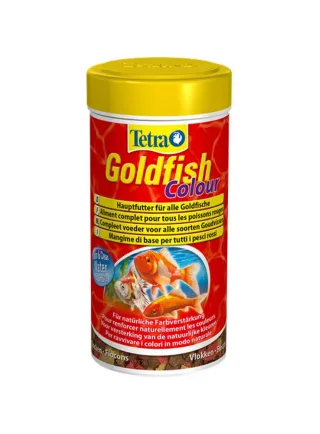 Tetra goldfish colour mangime pesci rossi colorazione