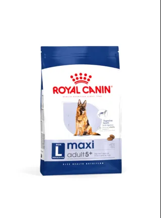 Maxi Adult 5+ cane Royal canin