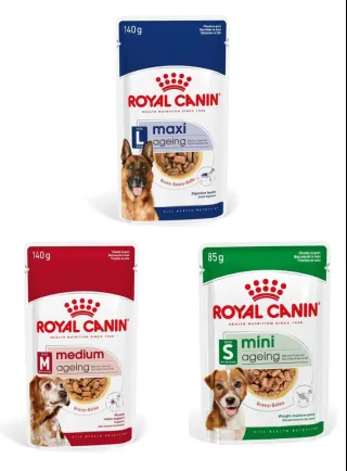 Ageing buste cane Royal Canin