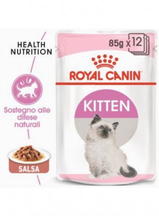 Kitten buste Royal Canin