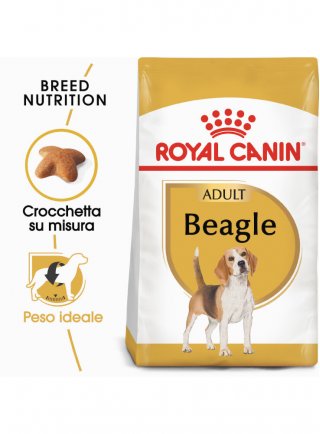 Beagle Adult Royal Canin