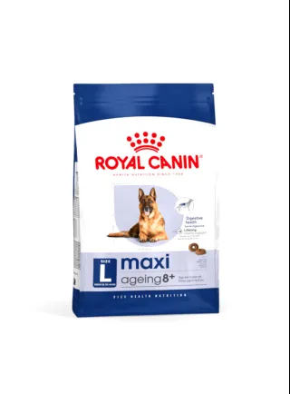 Maxi Ageing 8+ cane Royal Canin