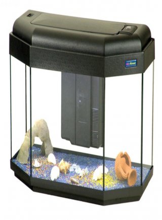 Acquario Panorama 80x35 con allestimento dolce