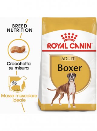 Boxer Adult Royal Canin