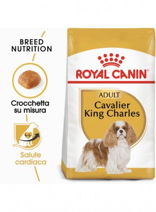 Cavalier King Charles Adult Royal Canin