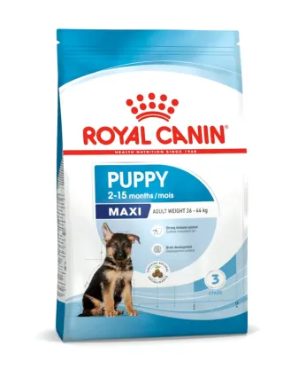 Maxi Puppy cane Royal Canin