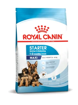 Maxi Starter Mother & Babydog Royal Canin