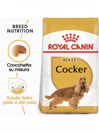 Cocker Spaniel Adult Royal Canin
