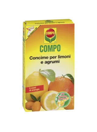 COMPO LIMONI E AGRUMI GR.500