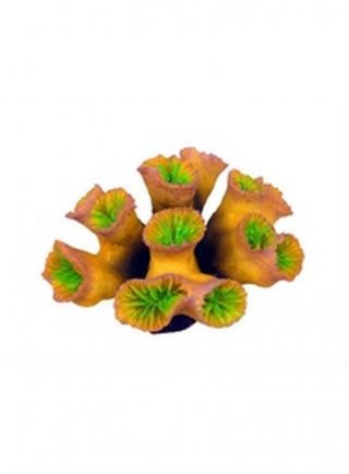 Haquoss decorazione finto corallo Euphyllia 2