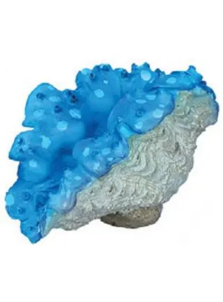 Haquoss decorazione finto corallo tridacna