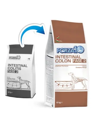 Forza 10 Intestinal Colon (intestinal colitis) Fase 2 per cani