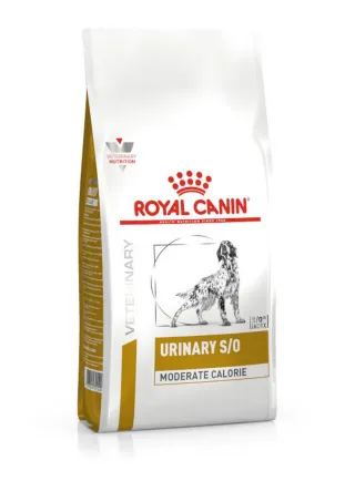 Urinary S/O Moderate Calorie cane Royal Canin