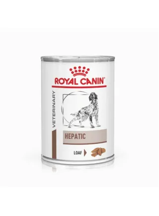 Hepatic umido cane Royal Canin