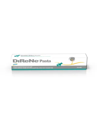 DIRENE PASTA 15ML