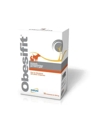 Obesifit