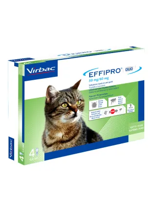 EFFIPRO DUO 50MG/60MG SOL. SPOT ON GATTO X4