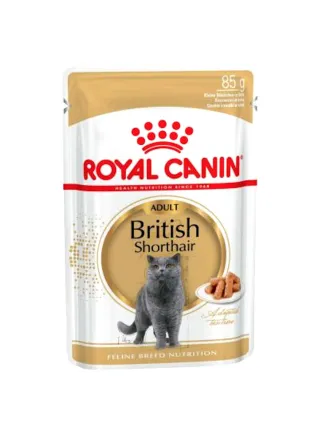 British Shorthair buste Royal Canin 12x85 gr