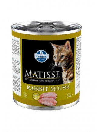 MATISSE CAT MOUSSE CONIGLIO GR.300