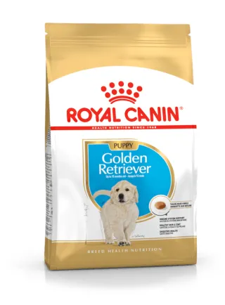 Golden Retriever Puppy Royal Canin