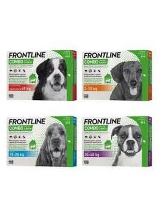 Frontline combo Cani