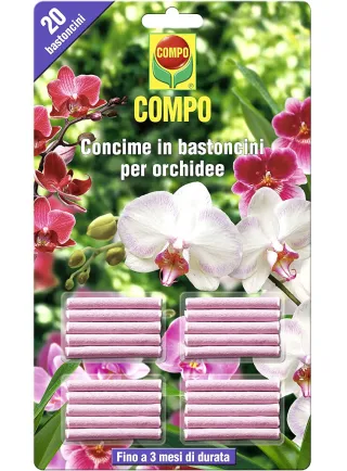 COMPO BASTONCINI ORCHIDEE