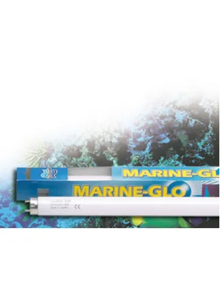 Lampada marine glo per acquario marino