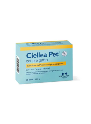 Ciellea Pet Recovery