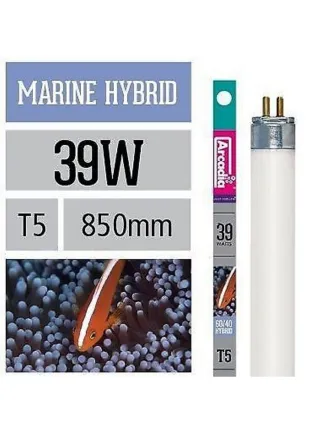 Arcadia Neon Marine Hybrid T5 luce per acquario marino esalta blu e viola nei coralli