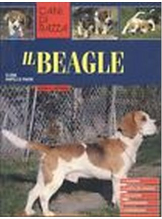Il beagle