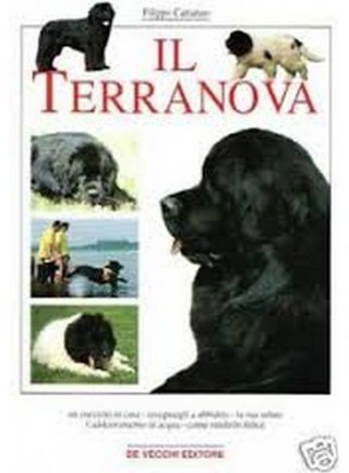 Il terranova