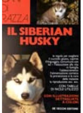 Il siberian husky