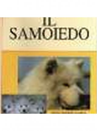 Il samoiedo