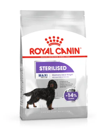 Maxi sterilised cane Royal canin
