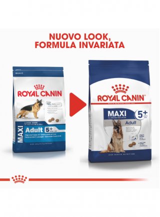 Maxi Adult 5+ cane Royal canin 4kg