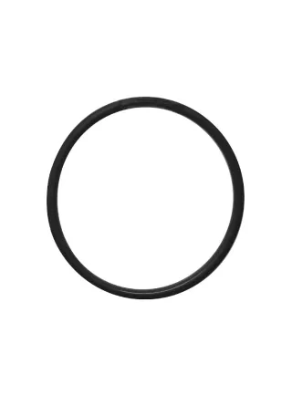 Prodac Ricambio O-Ring corpo pompa DF
