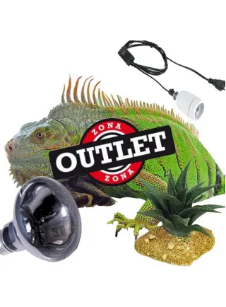 Outlet rettili e tartarughe