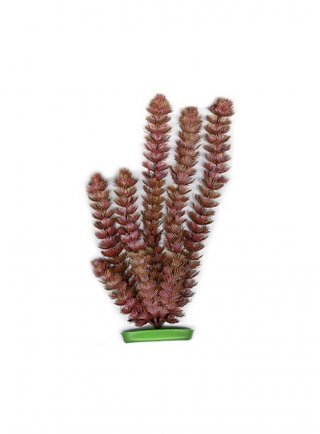 Pianta finta per acquario FOXTAIL AQUASCAPER 12,5-20-30cm