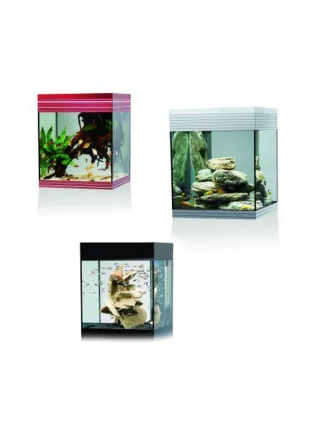 Acquario Askoll Pure M Led 44 litri con allestimento