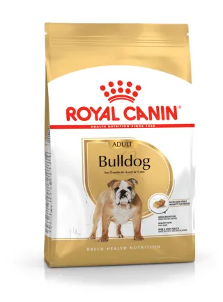 French Bulldog Adult Royal Canin