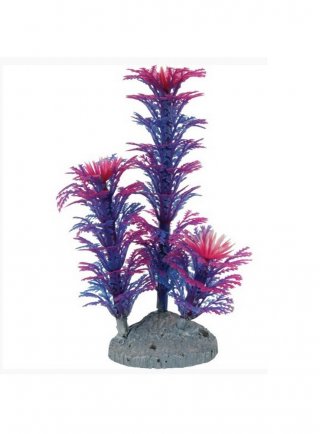 Decorazione per acquari pianta finta plant color