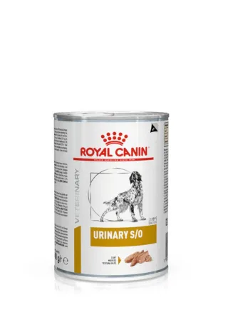 Urinary S/O umido cane Royal Canin